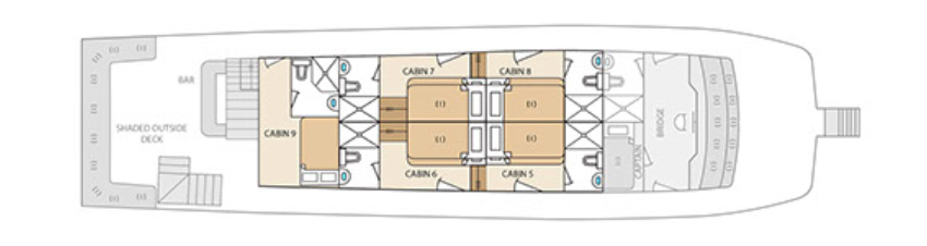 Galapagos Paradise Dreams