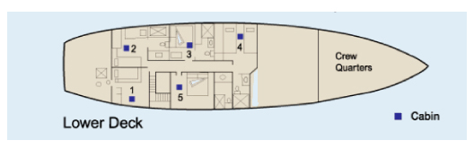 Galapagos Paradise Dreams