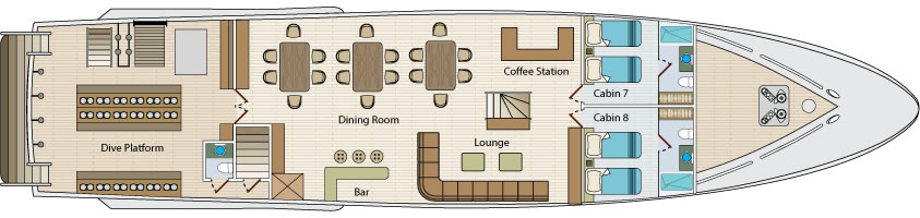 Galapagos Paradise Dreams