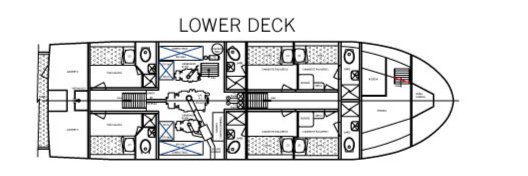 Galapagos Paradise Dreams