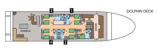 Galapagos Paradise Dreams