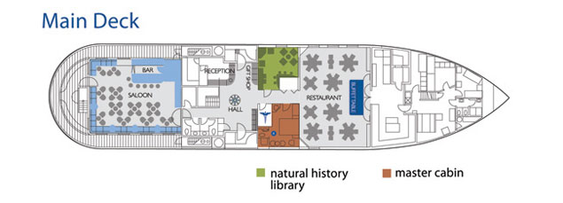 Galapagos Paradise Dreams