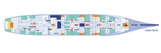 Galapagos Paradise Dreams