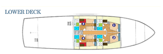 Galapagos Paradise Dreams