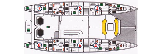 Galapagos Paradise Dreams