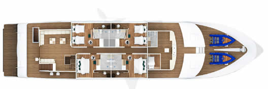 Galapagos Paradise Dreams