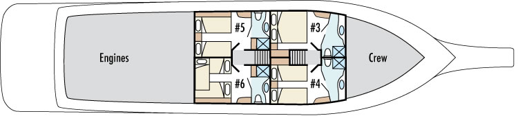 Galapagos Paradise Dreams