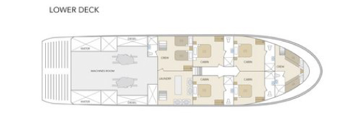 Galapagos Paradise Dreams